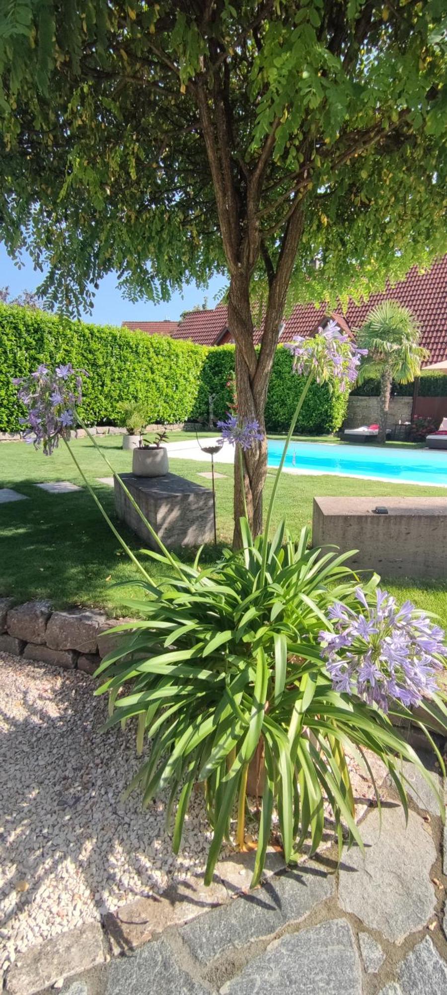 Bel Giardino Apartment Friedrichshafen Bagian luar foto